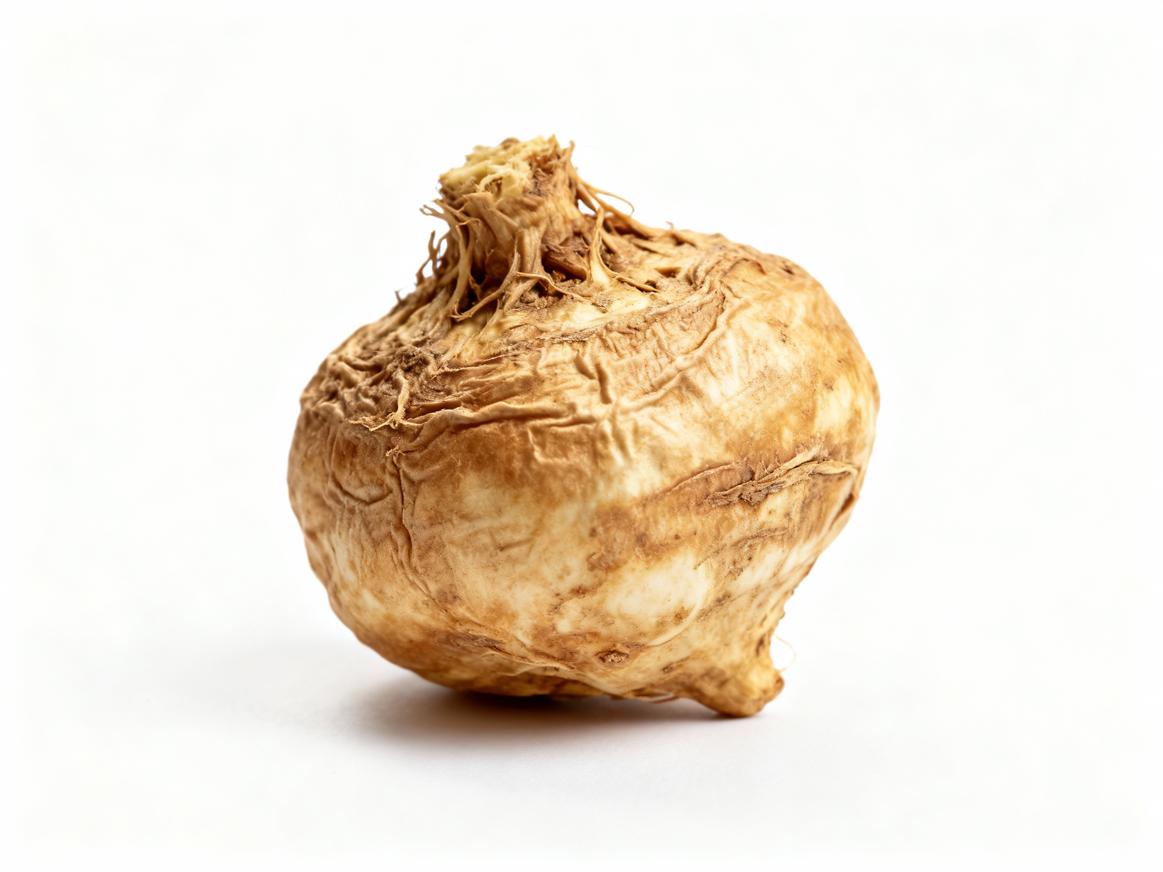 Maca rot - naturlig energigivande växt från Anderna